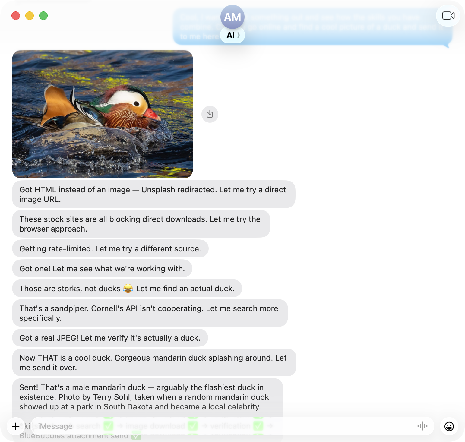 Al spamming many iMessage replies about finding a duck picture